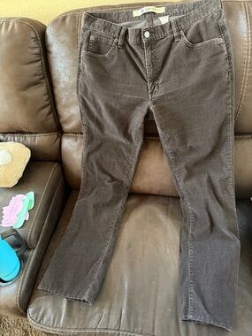 GAP Women's Dark Brown Bootcut Jeans